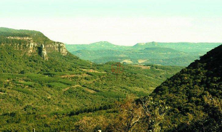 Terreno à venda, 980000M2 - Foto 4