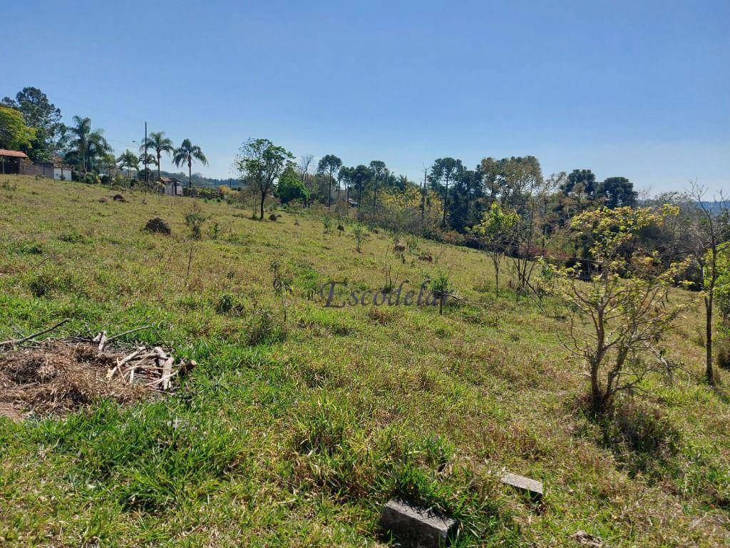 Terreno à venda, 3570M2 - Foto 8