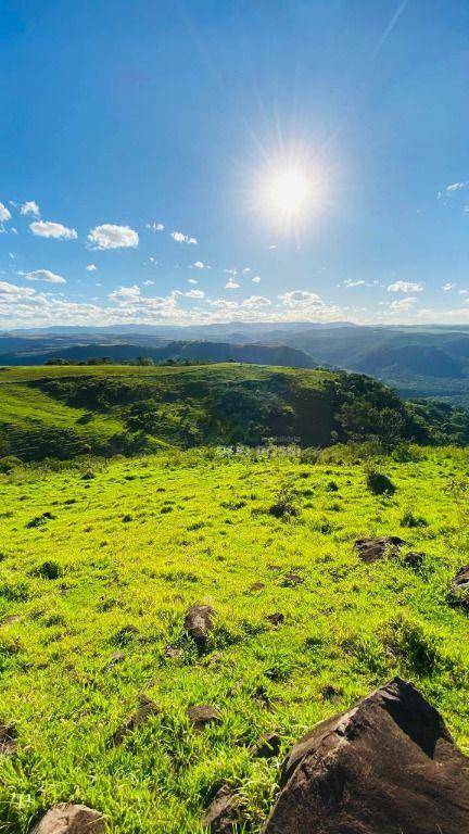 Fazenda, 286 hectares - Foto 16