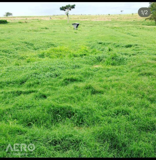 Fazenda à venda com 3 quartos, 400m² - Foto 6