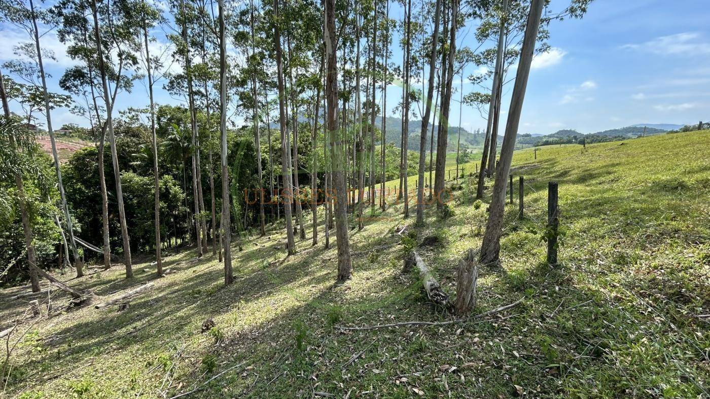 Sítio, 24 m² - Foto 2