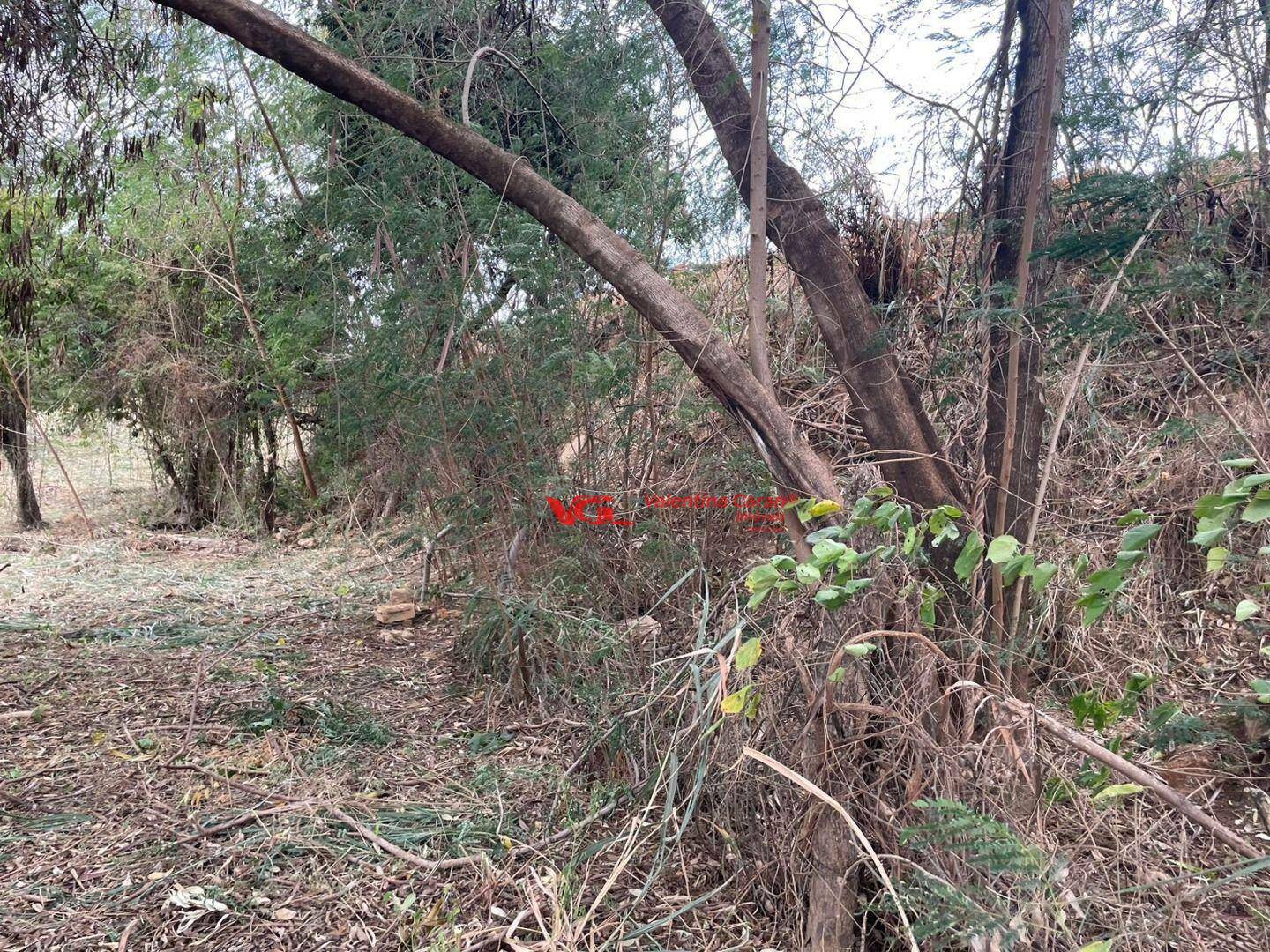 Terreno à venda, 1000M2 - Foto 3