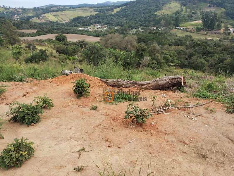 Terreno à venda, 8000M2 - Foto 5