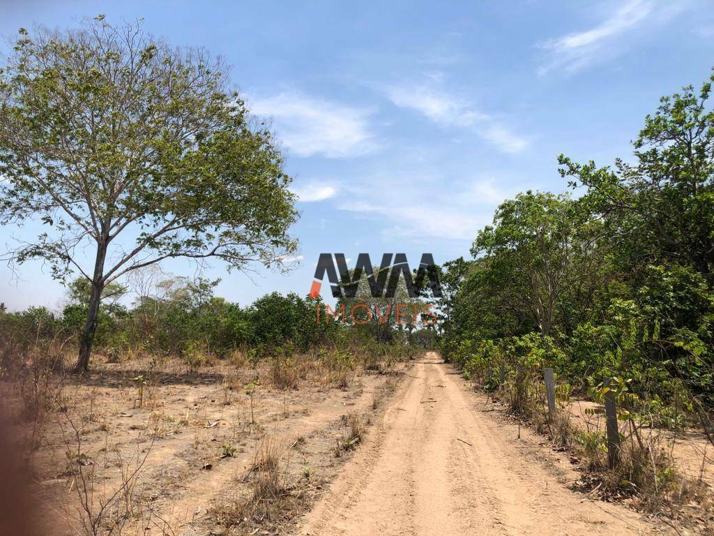 Fazenda-Sítio-Chácara, 1462 hectares - Foto 5