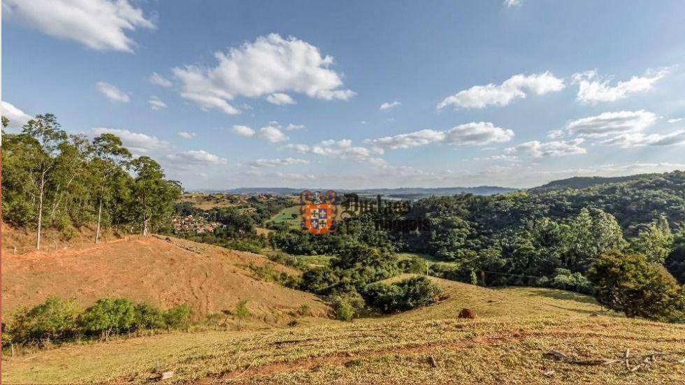 Fazenda à venda com 6 quartos, 500m² - Foto 20