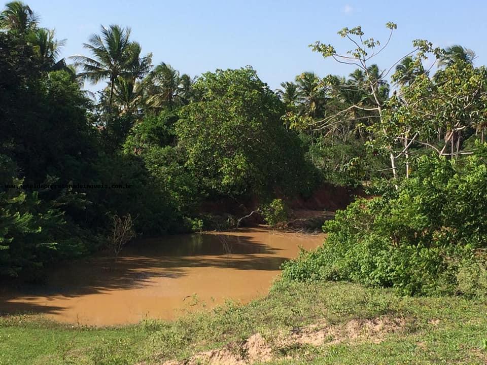 Fazenda à venda com 3 quartos, 13m² - Foto 7