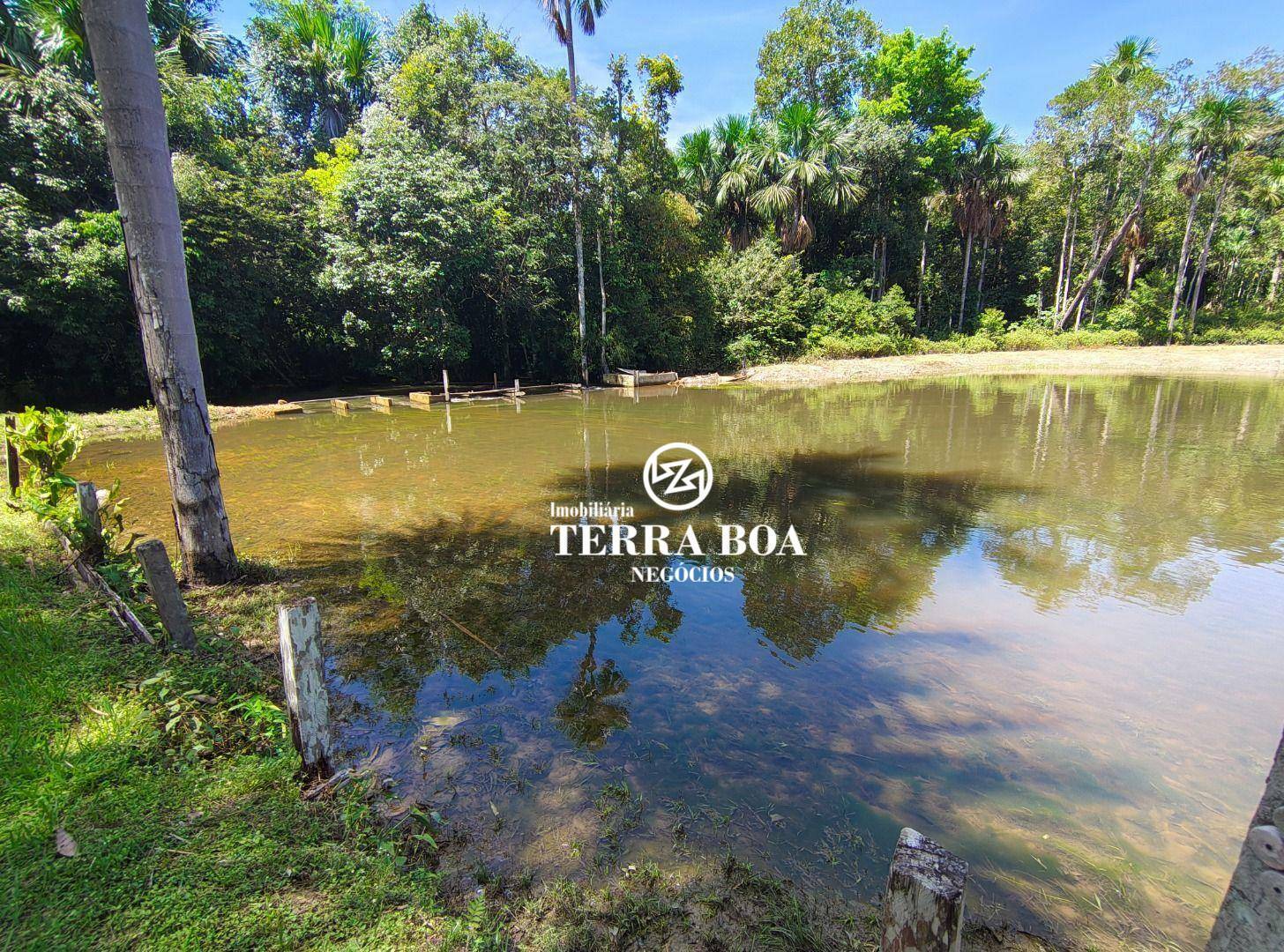 Chácara, 55 hectares - Foto 12