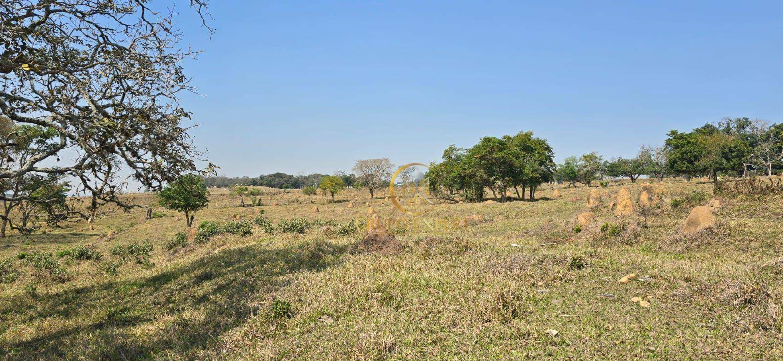 Terreno à venda, 264000M2 - Foto 6