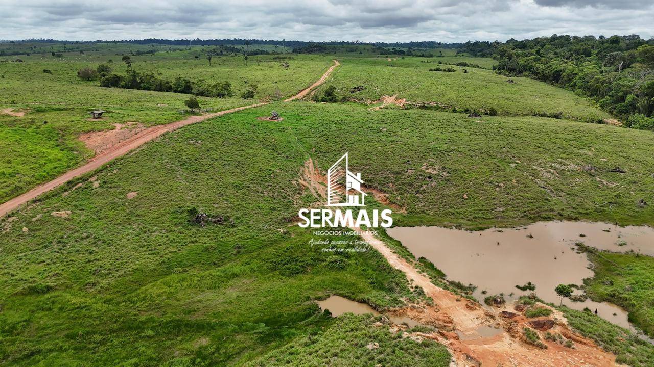 Fazenda, 2300 hectares - Foto 4