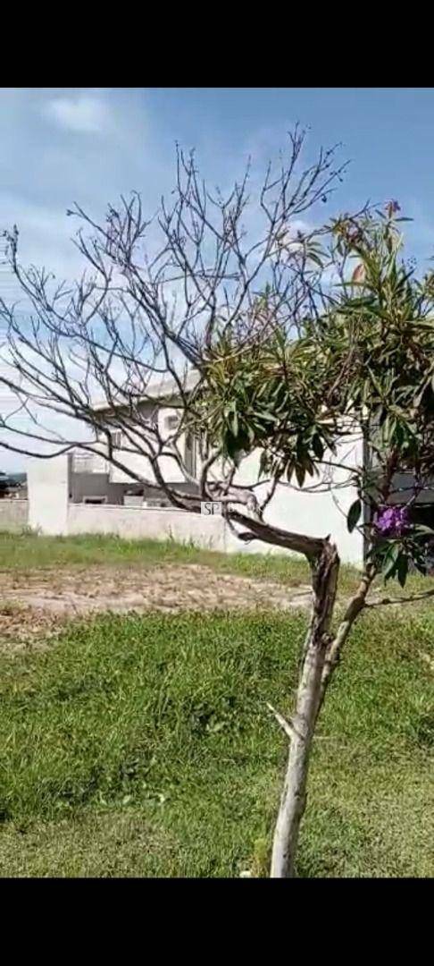 Loteamento e Condomínio à venda, 389M2 - Foto 3