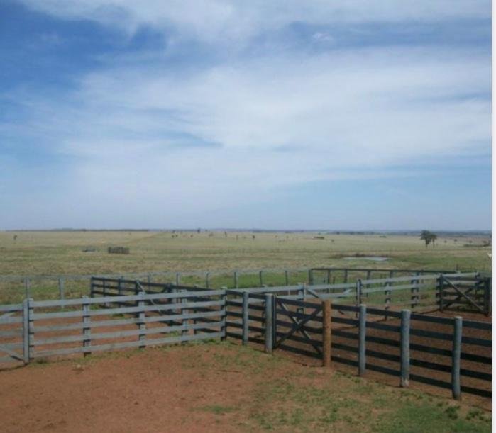 Fazenda à venda, 1007m² - Foto 11