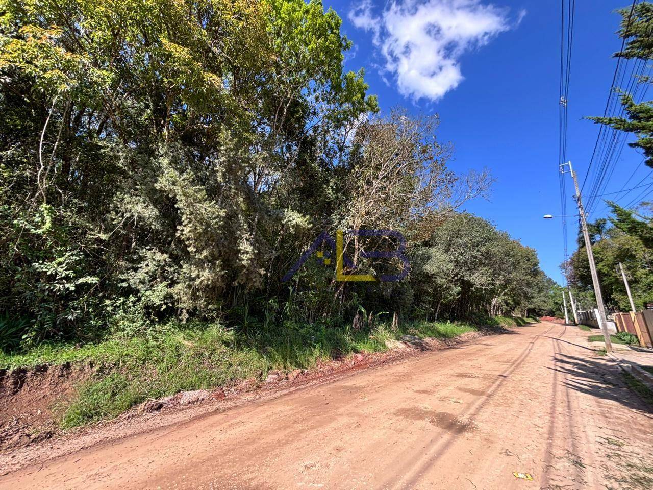 Terreno, 4019 m² - Foto 3