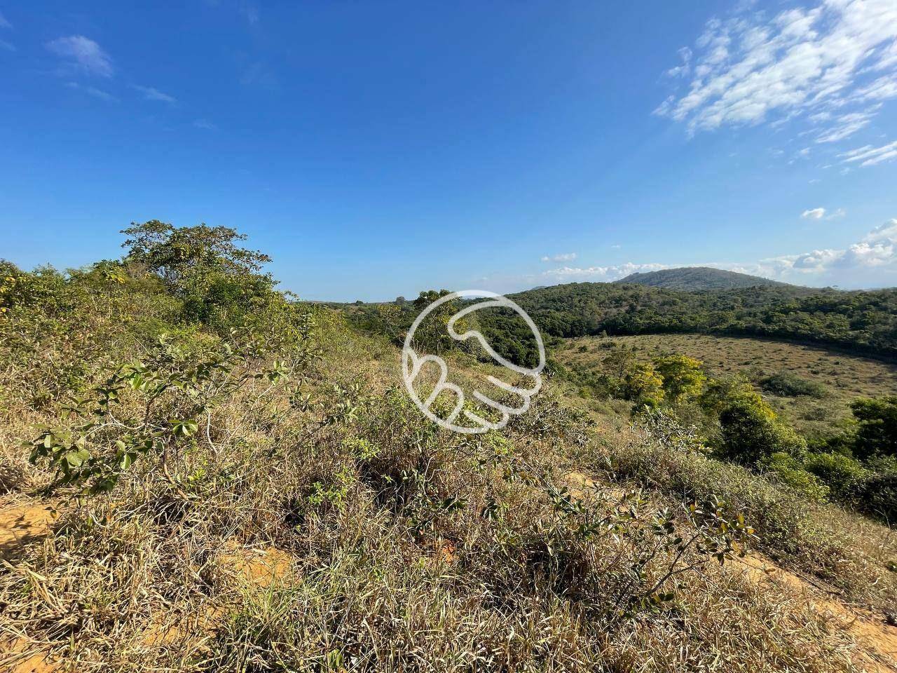 Sítio, 12 hectares - Foto 10