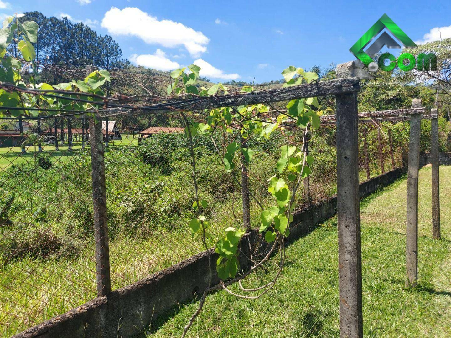 Terreno à venda, 1000M2 - Foto 3