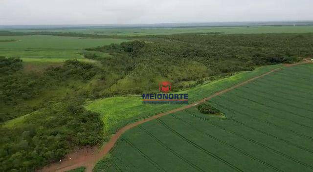 Fazenda à venda com 1 quarto, 10000000M2 - Foto 12