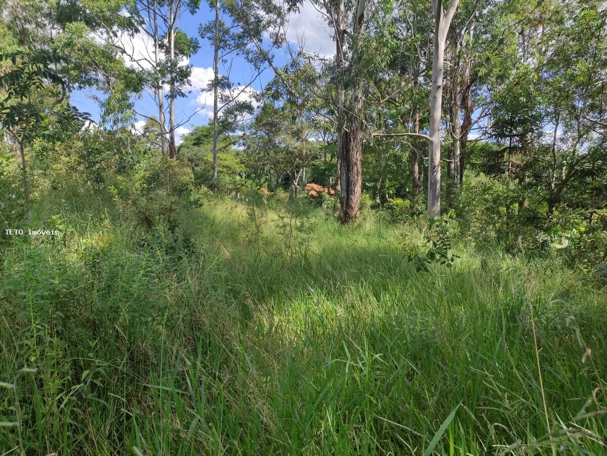 Terreno à venda, 2000m² - Foto 6