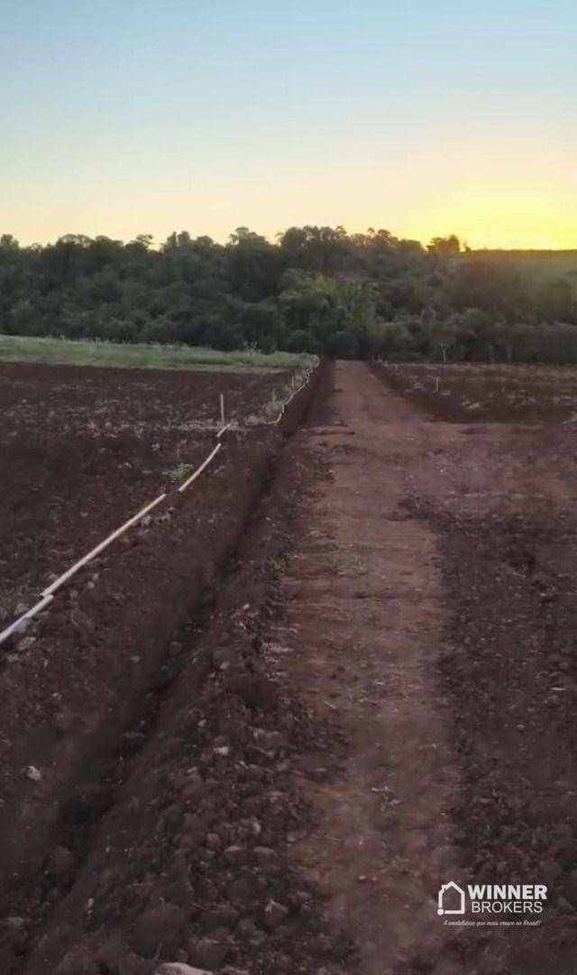 Chácara à venda, 2000M2 - Foto 7