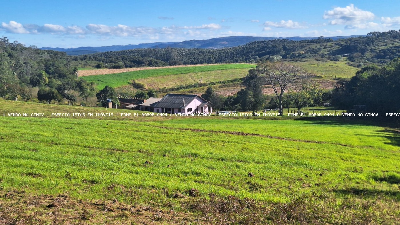 Sítio à venda com 4 quartos, 46500m² - Foto 6