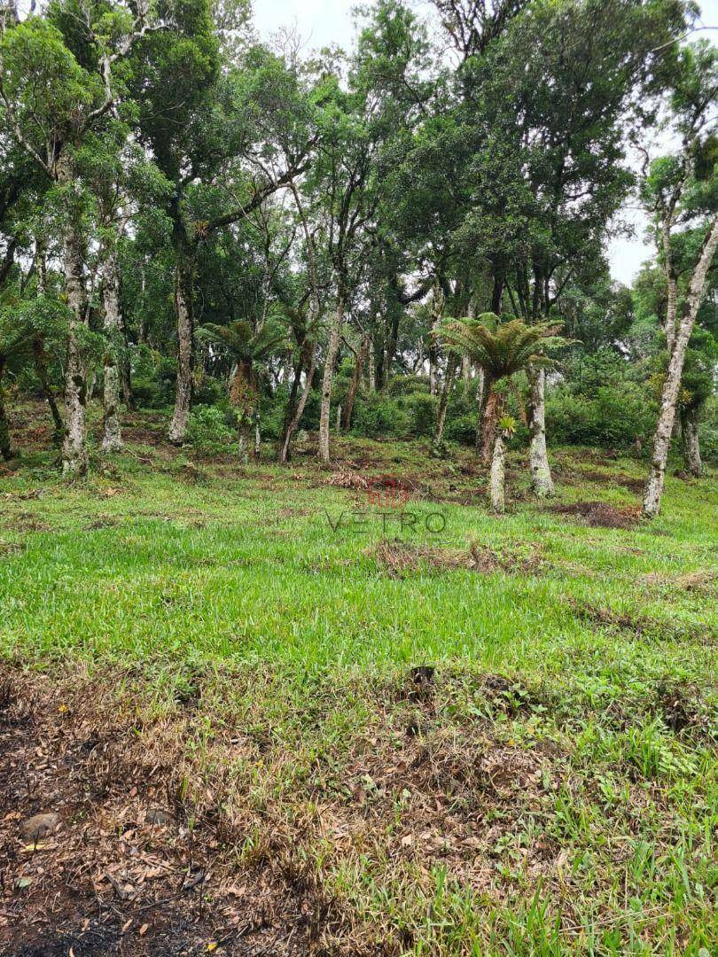 Terreno à venda, 3400M2 - Foto 6