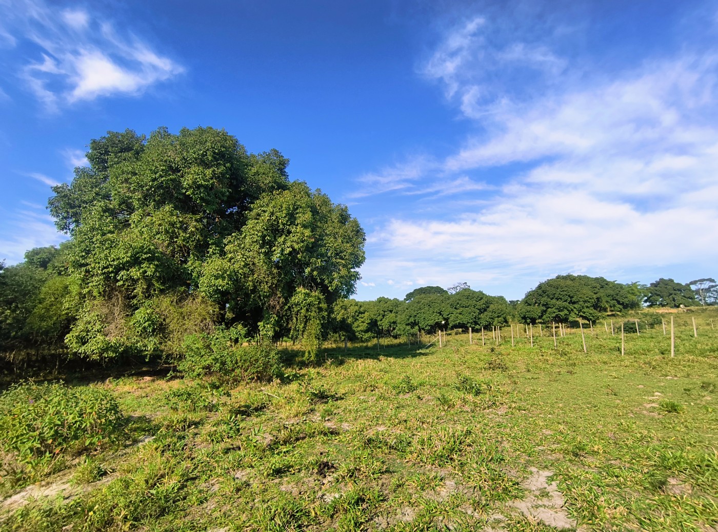 Terreno à venda, 2350m² - Foto 9