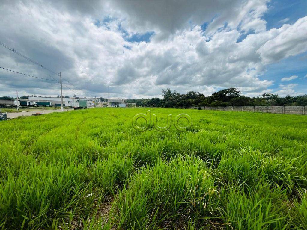 Loteamento e Condomínio à venda, 3419M2 - Foto 6