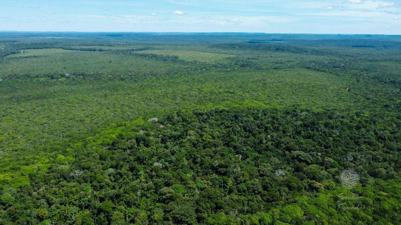 Fazenda à venda, 53620000M2 - Foto 5