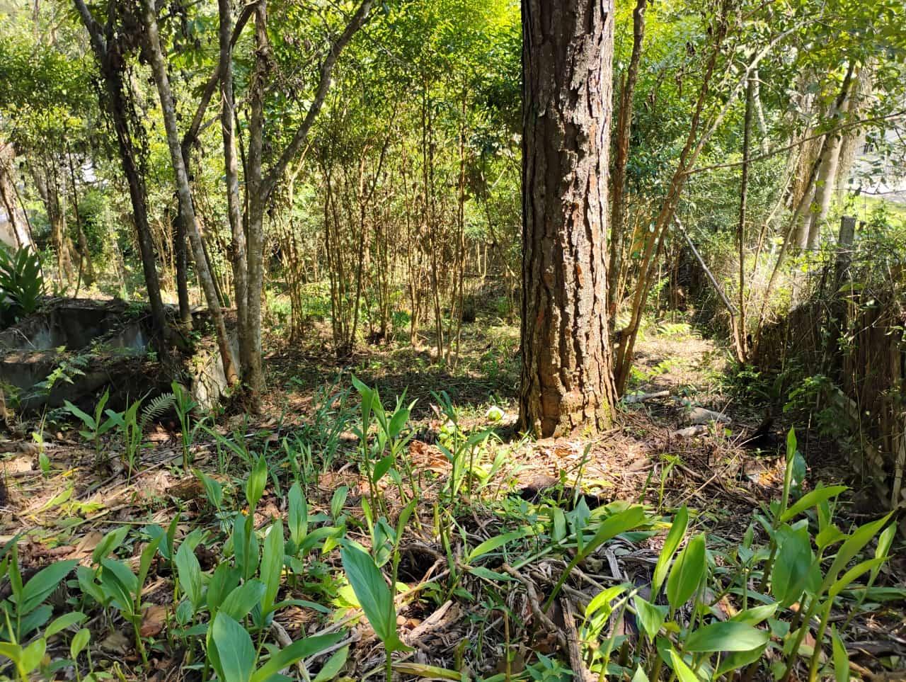 Terreno à venda, 3170m² - Foto 30