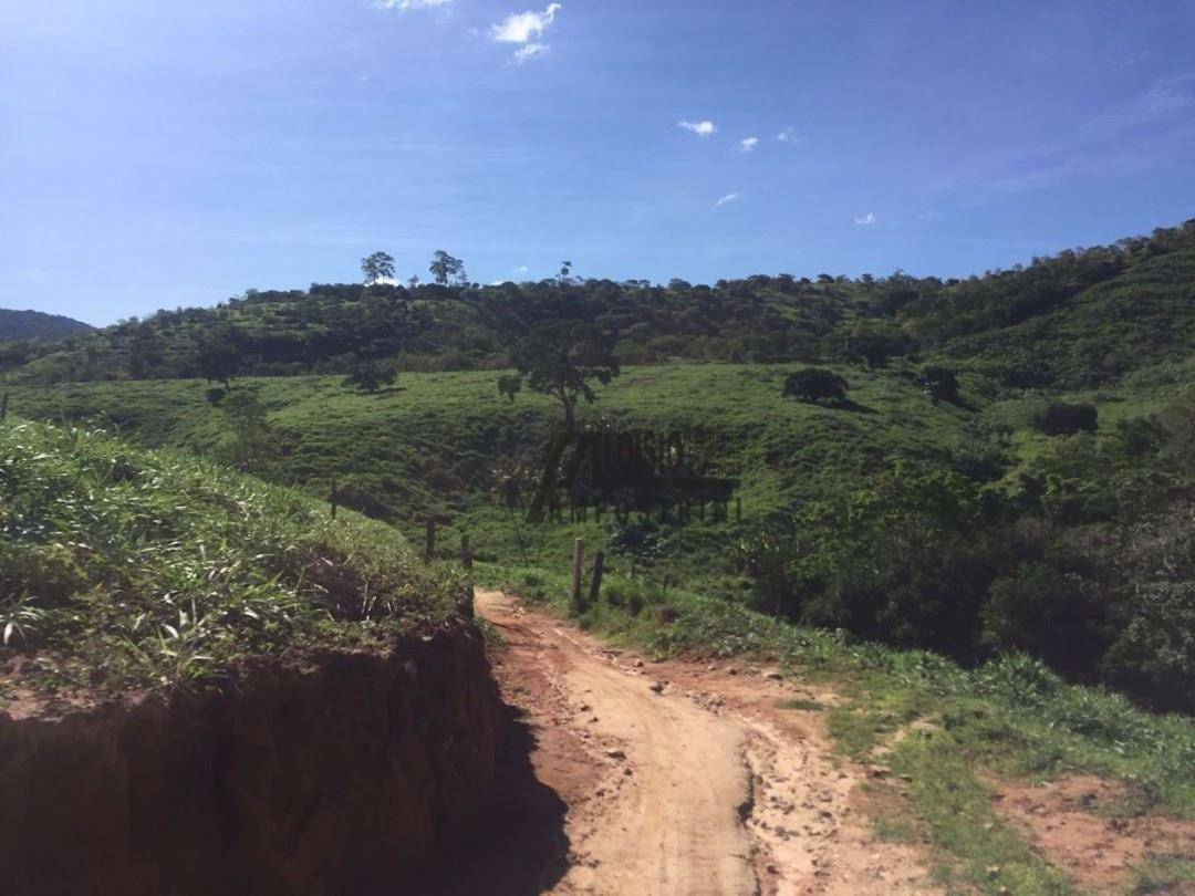 Fazenda à venda, 5469200M2 - Foto 36