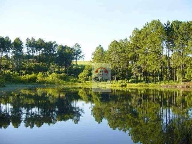 Loteamento e Condomínio à venda, 5100M2 - Foto 5