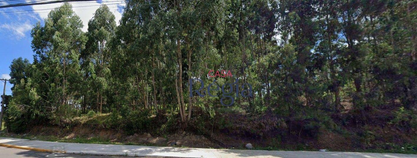 Loteamento e Condomínio à venda, 354M2 - Foto 2
