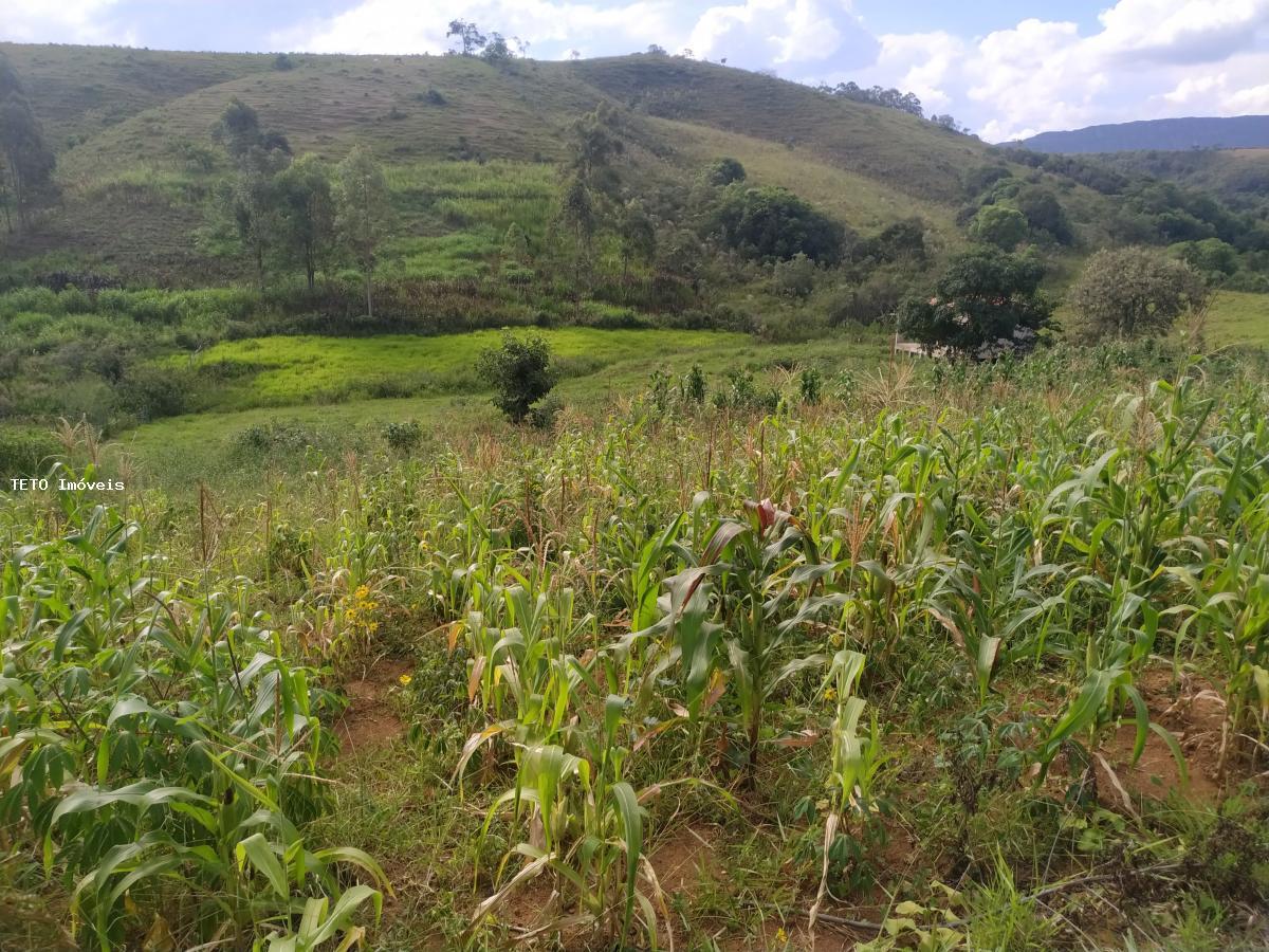 Terreno à venda, 2000m² - Foto 5