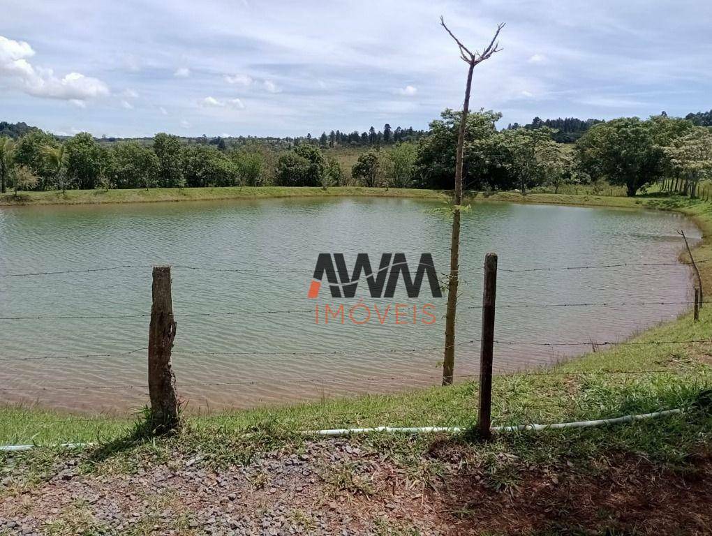 Fazenda à venda com 4 quartos, 820000M2 - Foto 23
