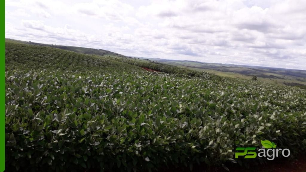 Fazenda à venda, 1376590000M2 - Foto 11