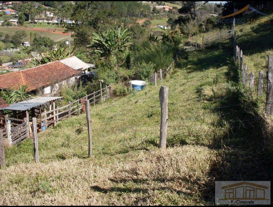 Fazenda à venda com 3 quartos, 300m² - Foto 4