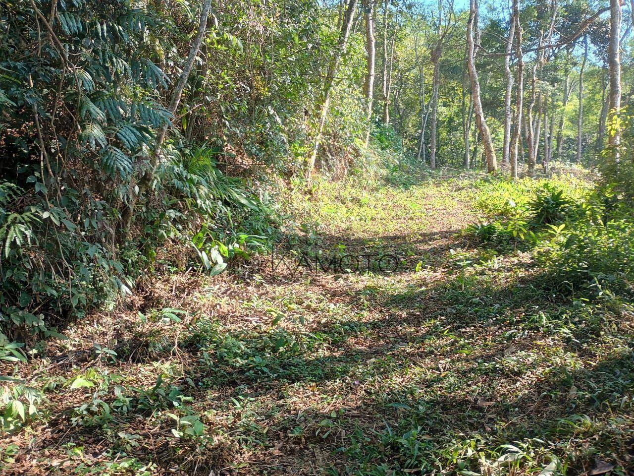 Terreno à venda, 10229M2 - Foto 2