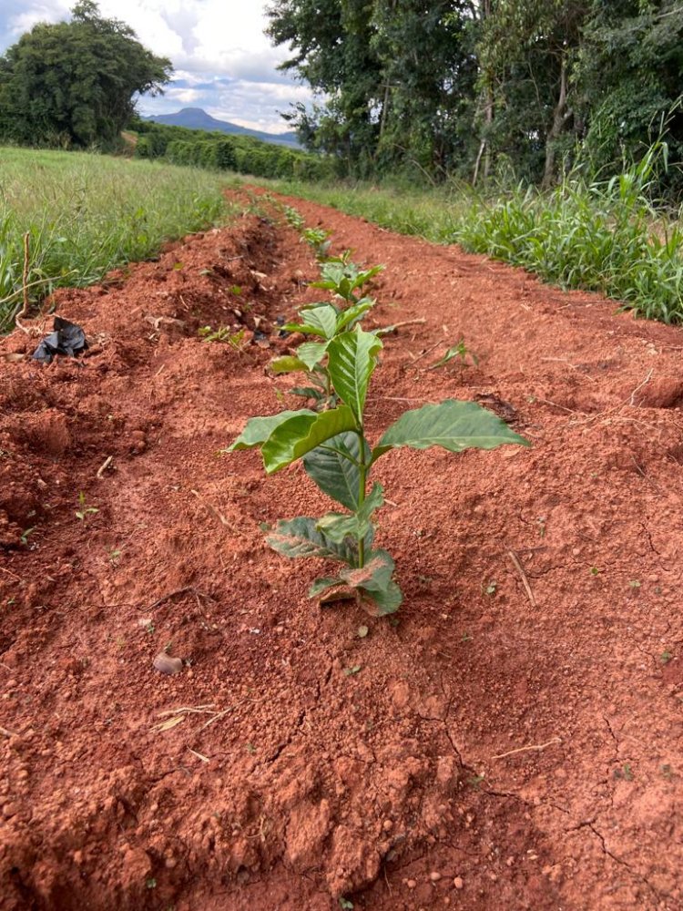 Fazenda à venda, 239m² - Foto 5