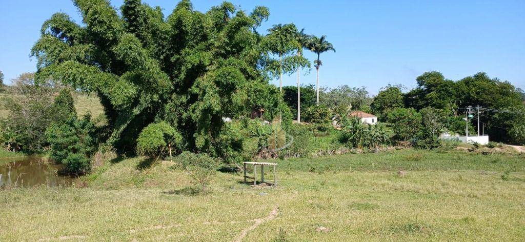 Terreno, 3 hectares - Foto 5