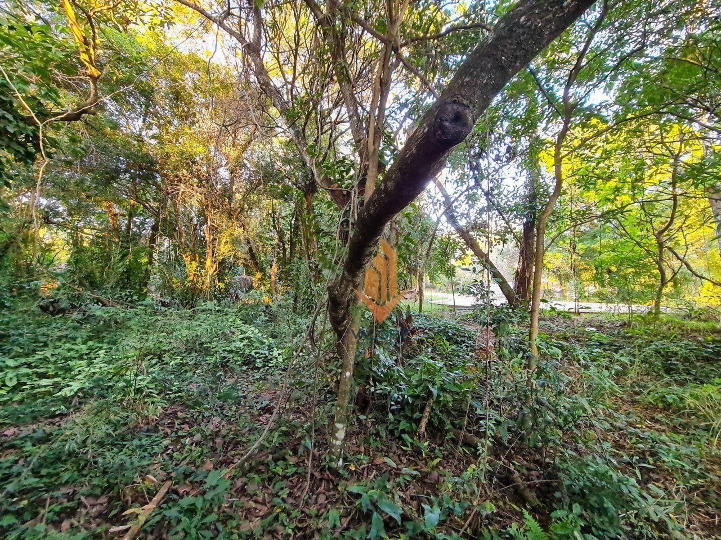 Loteamento e Condomínio à venda, 2000M2 - Foto 3