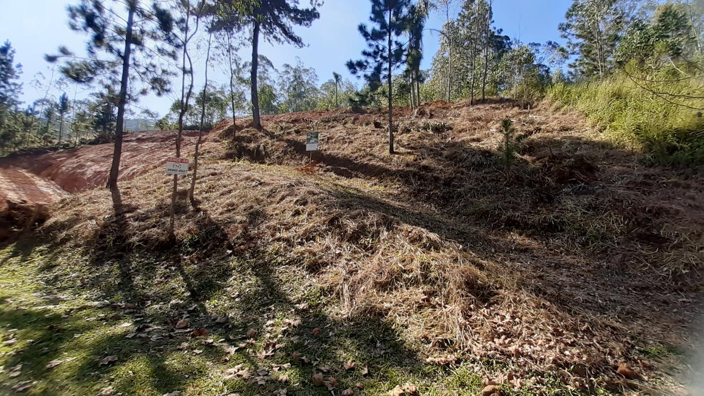 Terreno à venda com 3 quartos, 1854m² - Foto 18