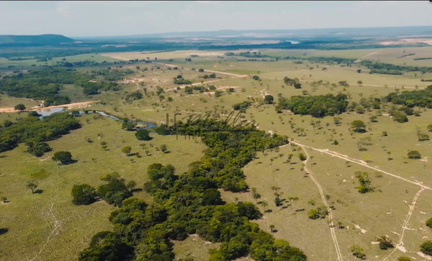 Fazenda à venda, 10000m² - Foto 21