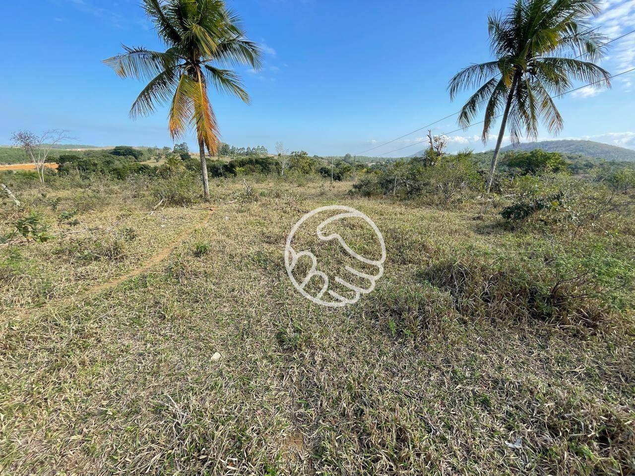 Sítio, 12 hectares - Foto 22