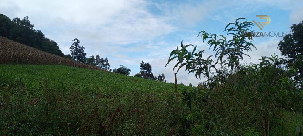 Terreno à venda, 169000M2 - Foto 18