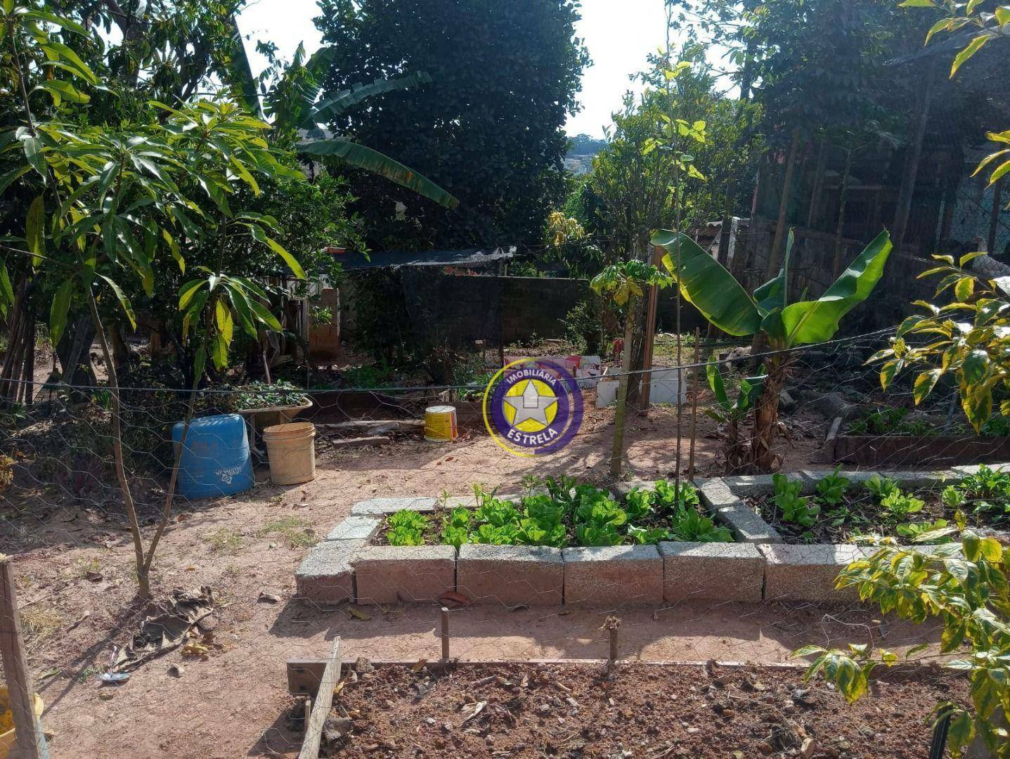 Chácara à venda com 2 quartos, 1195M2 - Foto 3