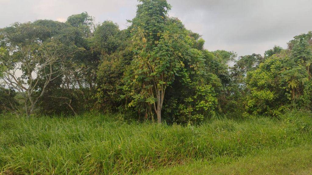 Terreno, 574 m² - Foto 9