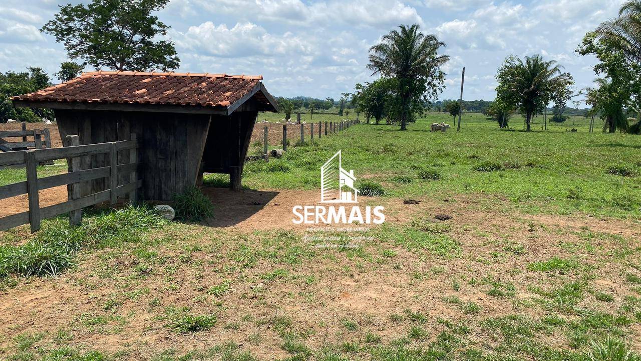 Fazenda-Sítio-Chácara, 179 hectares - Foto 10