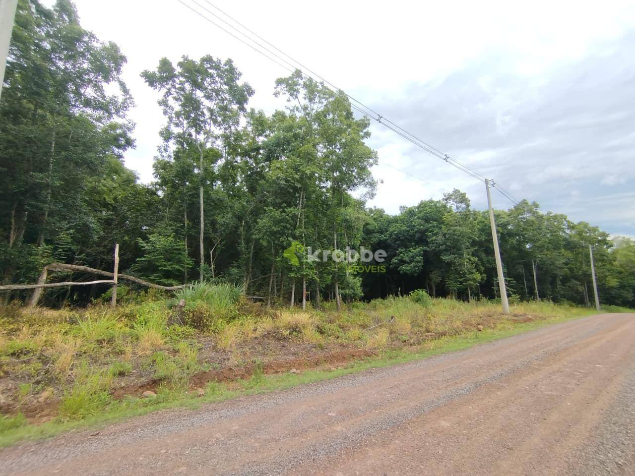 Terreno, 3 hectares - Foto 2