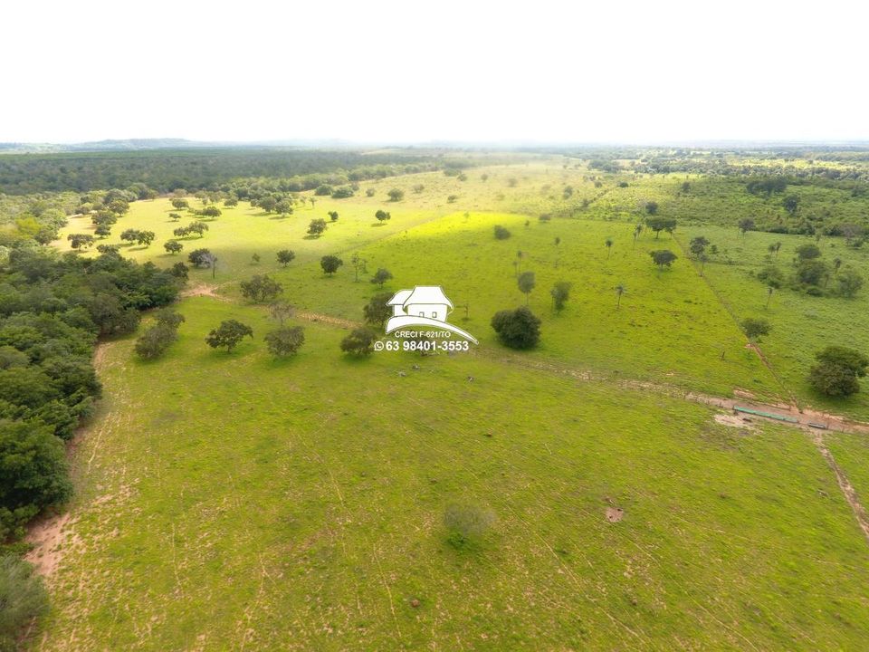 Fazenda à venda, 1930000m² - Foto 10