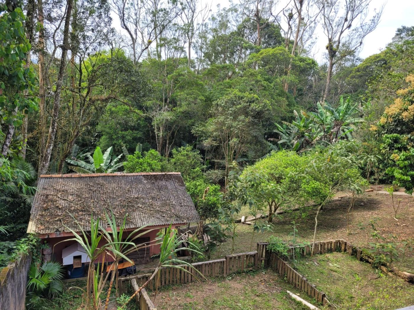 Fazenda à venda com 3 quartos, 3300m² - Foto 26