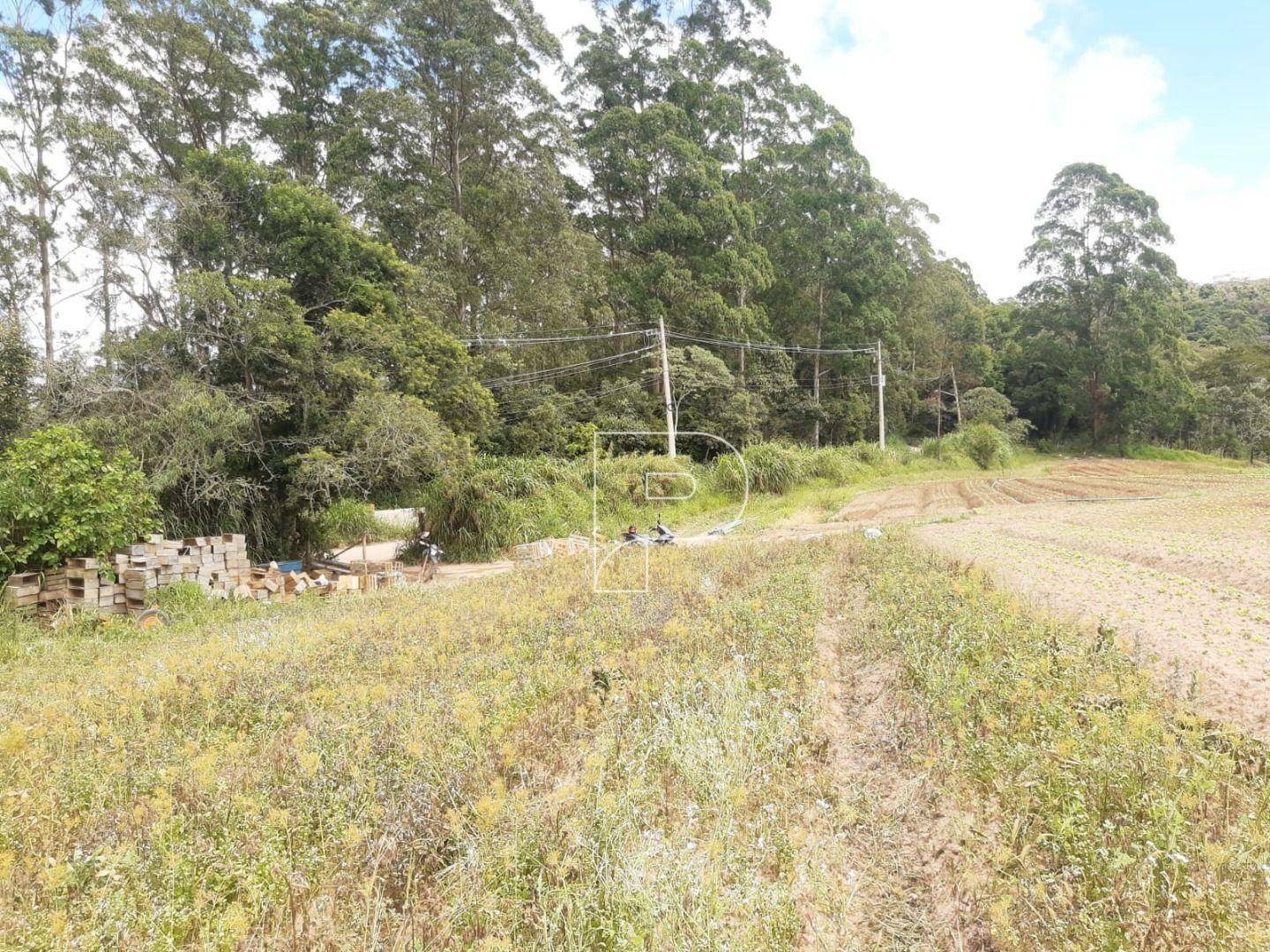 Terreno à venda, 39000M2 - Foto 3