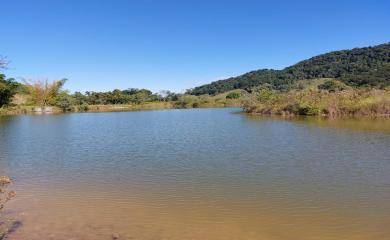 Fazenda à venda com 3 quartos, 387200m² - Foto 11